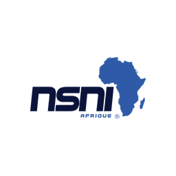 Logo NSNI