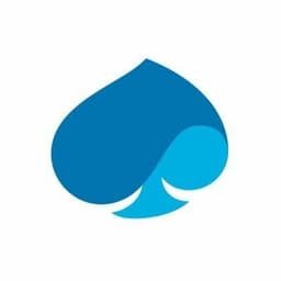 Logo Capgemini